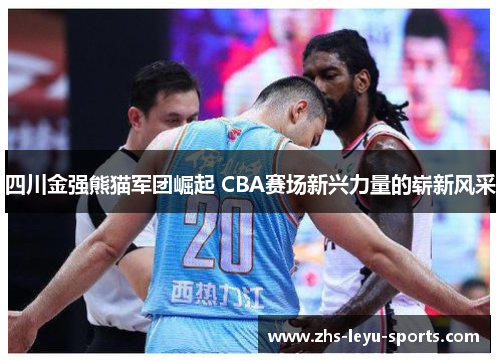 四川金强熊猫军团崛起 CBA赛场新兴力量的崭新风采 四川金强熊猫军团崛起 CBA赛场新兴力量的崭新风采